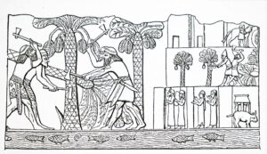 Assyrian relief depicting date palm cultivation. Source: Universal History Archive / UIG via Getty Images